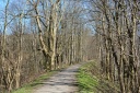 Filnavn=Aabenraa-Lojt27.JPG
Filstørrelse=1851KiB
Dimensioner=1900x1266
Dato for tilføjelse=11 Apr, 2015 Aabenraa-Lojt27.JPG