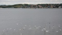 Filename=DSC_4673-crop.JPG
Filesize=3529KiB
Dimensions=5731x3282
Date added=Aug 13, 2013 DSC_4673-crop.JPG