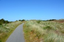 Filename=NrNebel065.jpg
Filesize=972KiB
Dimensions=1900x1266
Date added=Jul 06, 2015 NrNebel065.jpg