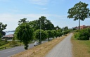 Filename=Svendborg25.JPG
Filesize=1075KiB
Dimensions=2048x1308
Date added=Sep 25, 2016 Svendborg25.JPG