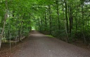Filename=Svendborg33.JPG
Filesize=1590KiB
Dimensions=2048x1323
Date added=Sep 25, 2016 Svendborg33.JPG