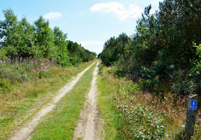 Klik for fuld størrelse