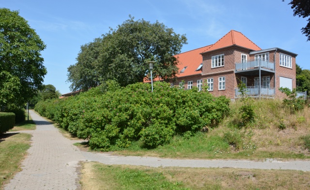 Klik for fuld størrelse