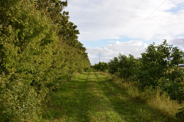 Click to view full size image