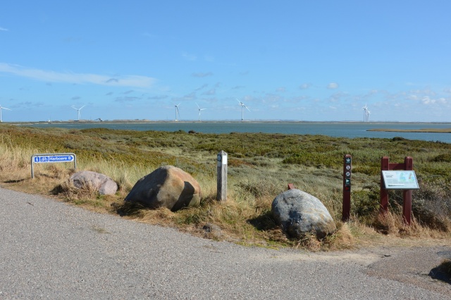 Klik for fuld størrelse