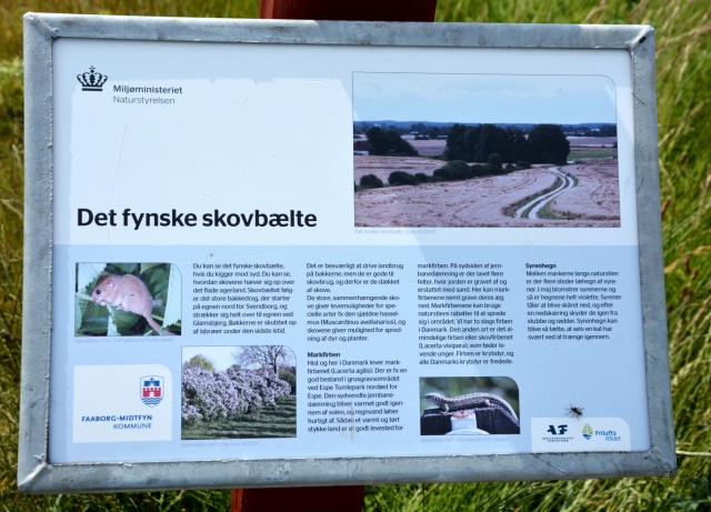 Klik for fuld størrelse