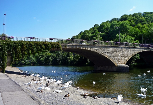 Click to view full size image