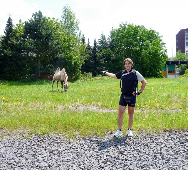 Klik for fuld størrelse