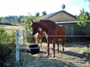 DSC00159.JPG