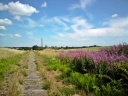 DSC00213_28329.JPG