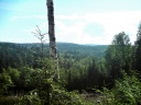 DSC00976_28229.JPG