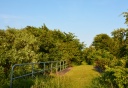DSC_0411-crop.JPG