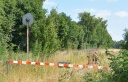 DSC_0678-crop-crop.JPG