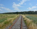 DSC_0698-crop.JPG