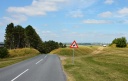 DSC_0708-crop.JPG