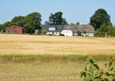 DSC_1147-crop.JPG