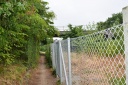 DSC_1830-crop.JPG