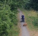 DSC_1835-crop.JPG