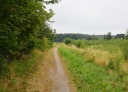 DSC_1836-crop.JPG