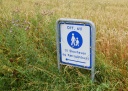 DSC_1839-crop.JPG