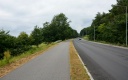 DSC_2141-crop.JPG