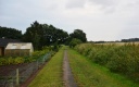 DSC_4330-crop.JPG