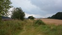 DSC_4333-crop.JPG