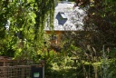 DSC_4852-crop.JPG