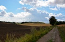 DSC_4869-crop.JPG
