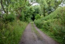 DSC_4878-crop.JPG