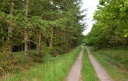 DSC_7237-crop.JPG