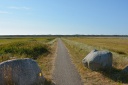 DSC_7886.JPG