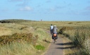 DSC_7889.JPG