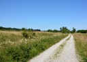 DSC_9548.JPG