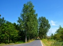DSC_9614.JPG