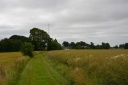 Dalbyover_04.JPG