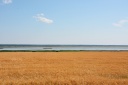 Filename=FjerritslevOsterild041.JPG
Filesize=1926KiB
Dimensions=4000x2667
Date added=Aug 04, 2014 FjerritslevOsterild041.JPG