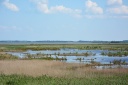 Filename=FjerritslevOsterild086.JPG
Filesize=2682KiB
Dimensions=4000x2667
Date added=Aug 04, 2014 FjerritslevOsterild086.JPG