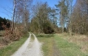GjerrildV001.jpg