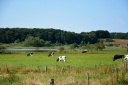 Gjerrildbanesti029.JPG