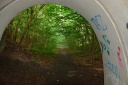 Hammel017.JPG