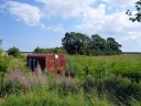 P1050660.JPG