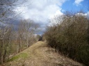 P1160020.JPG