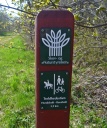 P1160697-crop.JPG