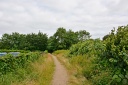 Silkeborg03.JPG