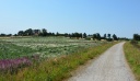 Filename=ViborgLogstor29.JPG
Filesize=3988KiB
Dimensions=5044x2922
Date added=Aug 03, 2013 ViborgLogstor29.JPG