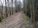 Filename=batch_2303.jpg
Filesize=850KiB
Dimensions=1280x960
Date added=Apr 17, 2022 batch_2303.jpg