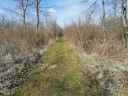 Filename=batch_2304.jpg
Filesize=842KiB
Dimensions=1280x960
Date added=Apr 17, 2022 batch_2304.jpg