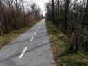 Filename=batch_2310.jpg
Filesize=739KiB
Dimensions=1280x960
Date added=Apr 17, 2022 batch_2310.jpg